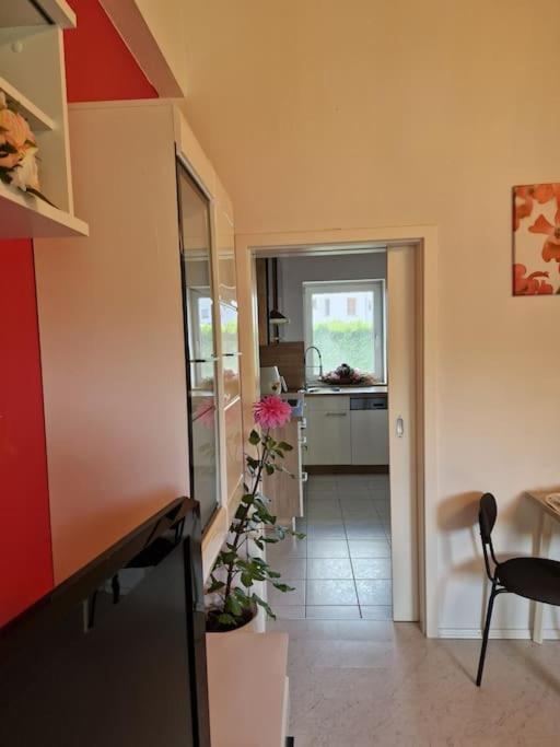 Ferienwohnung Bayernbrise Rohrdorf  Exterior foto